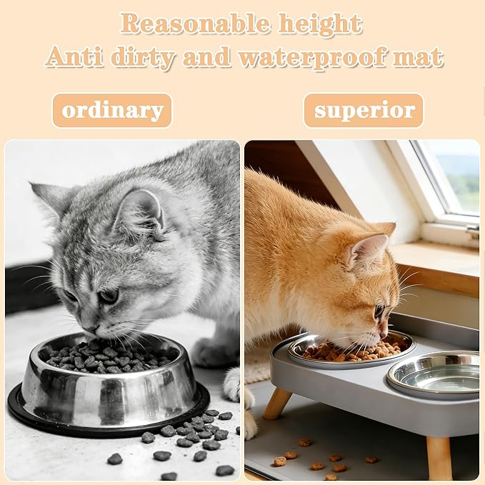 Elevated Cat Bowls with Food Mat, Splash Proof Anti Vomiting Raised Cat Food and Water Bowl Set, 2 Stainless Steel Dishes for Cats and Puppy, Pet Bowl for Indoor Cats Grey
