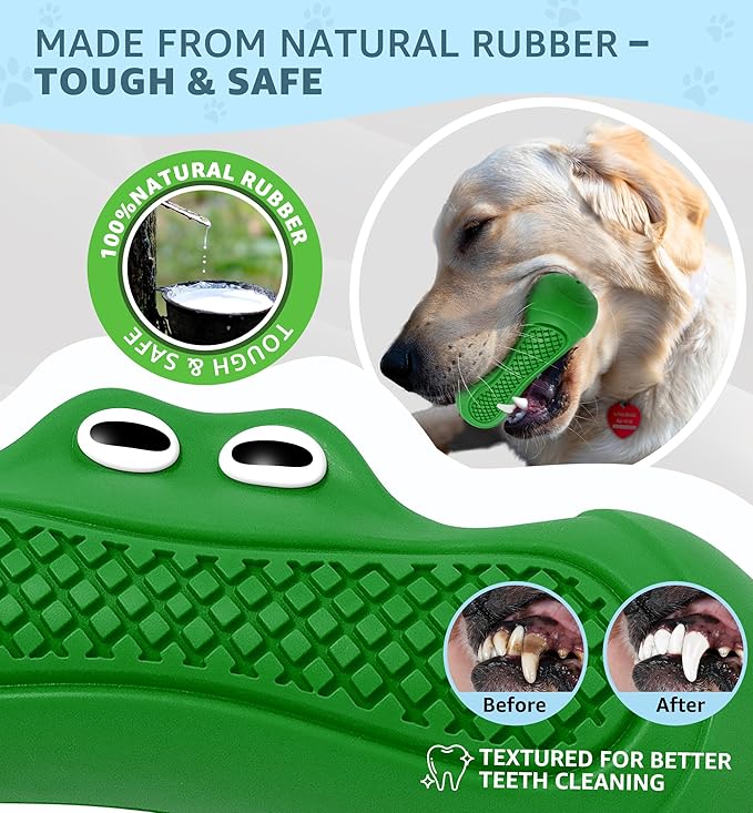 IPTPAS Durable Dog Chew Toy for Aggressive Chewers, Tough Natural Rubber Squeaky Dog Toy with Irresistible Beef Flavor, Dental Care, Teeth Cleaning & Boredom Relief for Medium & Large Dogs (Green)