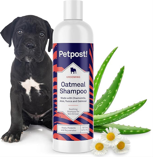Petpost | Oatmeal & Chamomile Dog Shampoo. Soothes Dry, Sensitive Skin, Moisturizes & Softens Coat with Aloe & Yucca. 16 oz