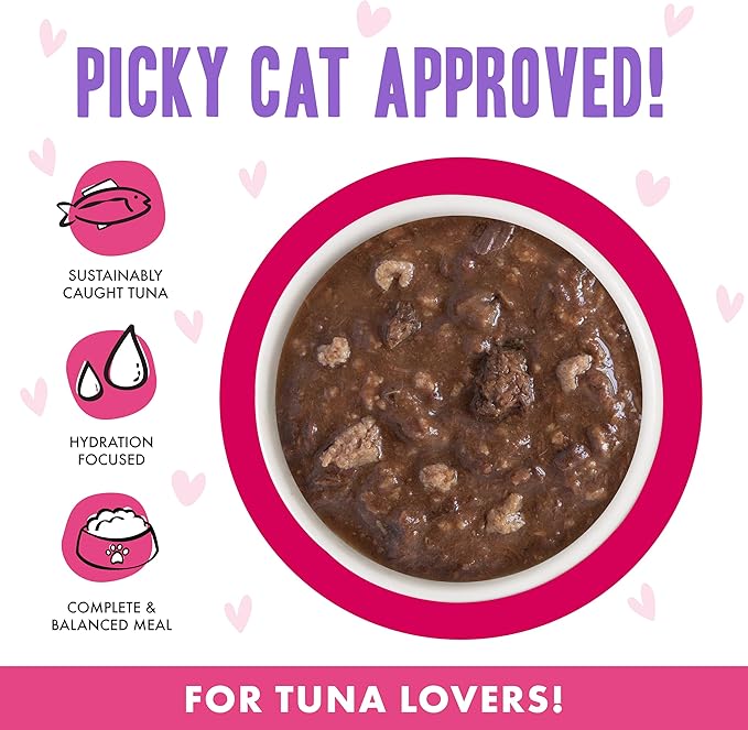 B.F.F. OMG - Best Feline Friend Oh My Gravy!, Tuna & Duck Dilly Dally with Tuna & Duck, 2.8oz Can (Pack of 12)