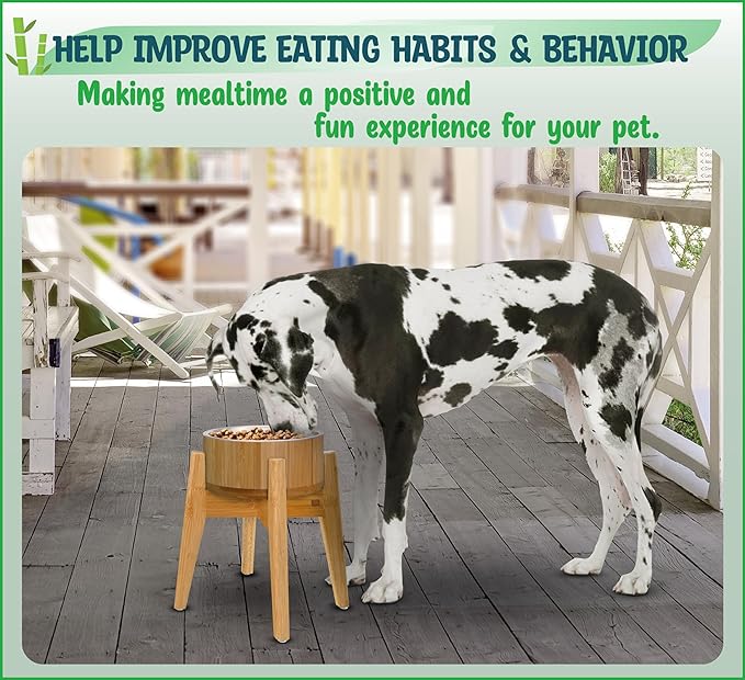 Elevated Dog Bowls for Large Breed - (15-Inch High) Raised Bamboo Holder with Stainless Dish - Suitable for Dry and Wet Pet Food - Tall Stand, Deter Ants/Bugs