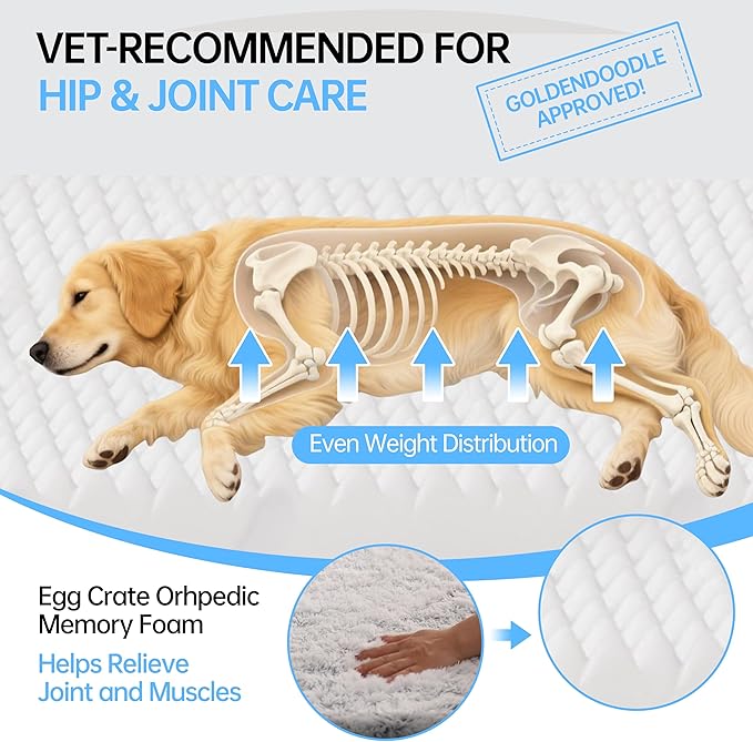 Foldable Human Dog Bed for Adult, Orthopedic Memory Foam Large Pet Sofa, Washable Dog Couch with Removable Waterproof Cover, Sofa Bed for Adults Pets and Families, 74.8''x43.3''x11.81''