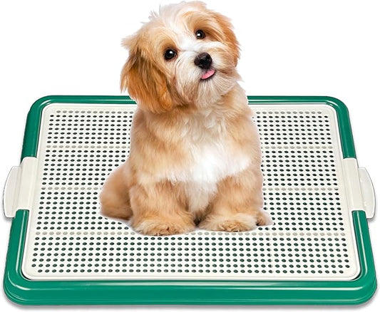 Pets-N-Me Dog Pee Pad Holder, Puppy Potty Training Tray 22.5”X16.5” for Small Dogs (Green)