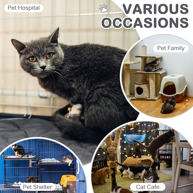 8 Pack Self Heating Cat Mat Self Warming Cat Bed Extra Warm Thermal Pet Bed Mat Reflects Body Heat Washable Dog Crate Pad for Indoor Outdoor Pets(Gray,16 x 16 Inch)