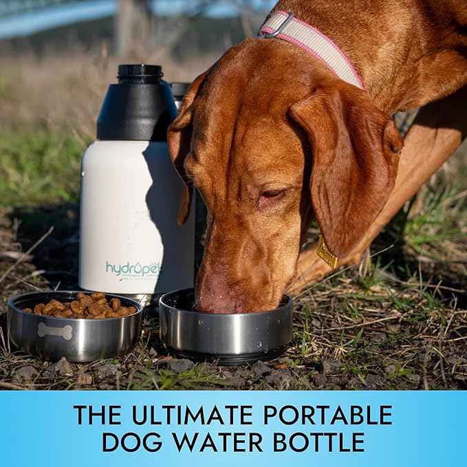 Hydropet Portable Dog Water Bottle (32 oz) - Insulated Dogs & Cats Travel Bottles, Stainless Steel - Detachable Dog Food Bowl and Water Bowl - Great for Daily Walks - Puppy Essentials & Accessories