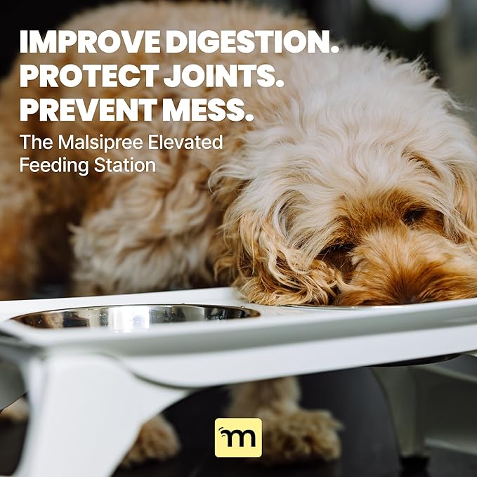 MalsiPree Elevated Dog Bowl Stand - Foldable Raised Feeding Station 6.5" - 2 Stainless Steel Bowls, Portable Non-Slip, Mess-Catching, Travel Pet Bowl Set - Dishwasher Safe, Medium & Large Breeds