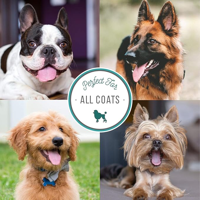 Nature's Specialties Dog Cologone 8 oz. Bundle - Almond Essence Cologne, Almond Scent, Ready to Use, Finishing Spray + Blueberry Dew Cologne, Blueberry Scent, Ready to Use, Finishing Spray