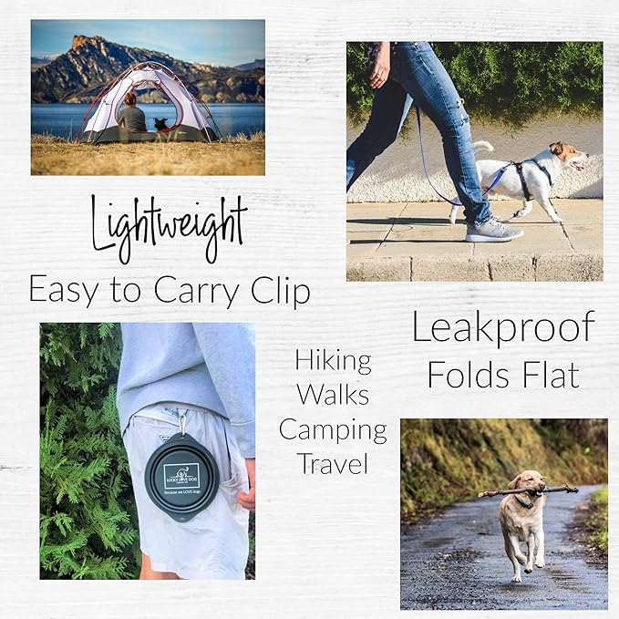 Lucky Love Dog Travel Dog Bowl, Collapsible Compact Water Dog Dish, Rose