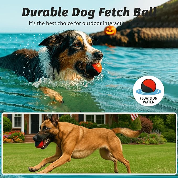 Squeaky Dog Ball for Aggressive Chewers – Durable Rubber Training Ball for Outdoor Fetch & Recall, High Bounce Interactive Dog Toy for Medium & Large Dogs, with Floating Water Feature for Pool & Beach