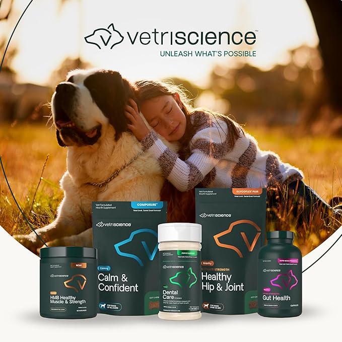 VetriScience GlycoFlex Ultimate Strength Healthy Hip & Joint Glucosamine Supplements for Dogs, with MSM, Chondroitin & Green-Lipped Mussel, Soft Chews, Bacon, 120 Count - New Look