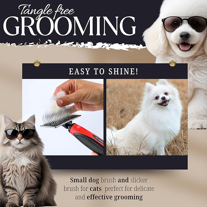 Bixy Pixy Mini Brush for Dogs and Cats - Coated Tips Massage Skin - Long Pins Remove Mats, Tangles in Long and Poodle Fur