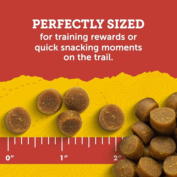 Zuke’s Mini Naturals Dog Training Treats for Dogs of All Sizes, Pet Treats made with Real Salmon, 16 oz. Resealable Pouch - 16 oz. Bag