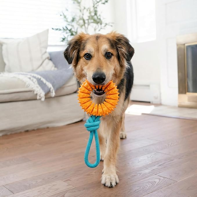 Dental Chew Wheel Dog Toy – Ring & Rope Tug, Multi-Textured, Soft on Teeth, Moderate Chewers, Mint Scented, 9"