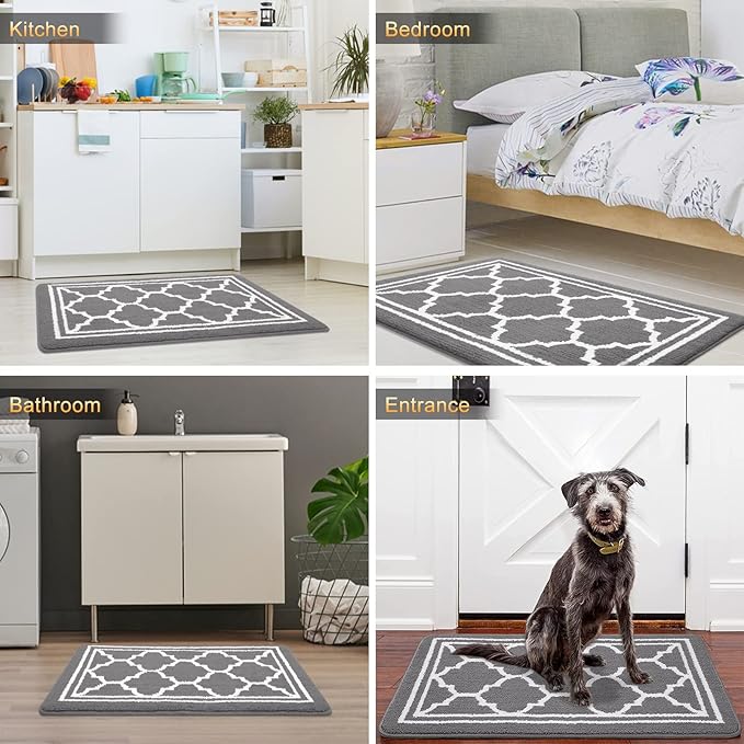 Buganda Indoor Door Mat, Dirt-Resistant and Absorbent Doormat, Anti-Slip, Low Profile Floor Mats for Inside Entryway, Front, and Back Door Entrance (32x20 Inches, Grey)