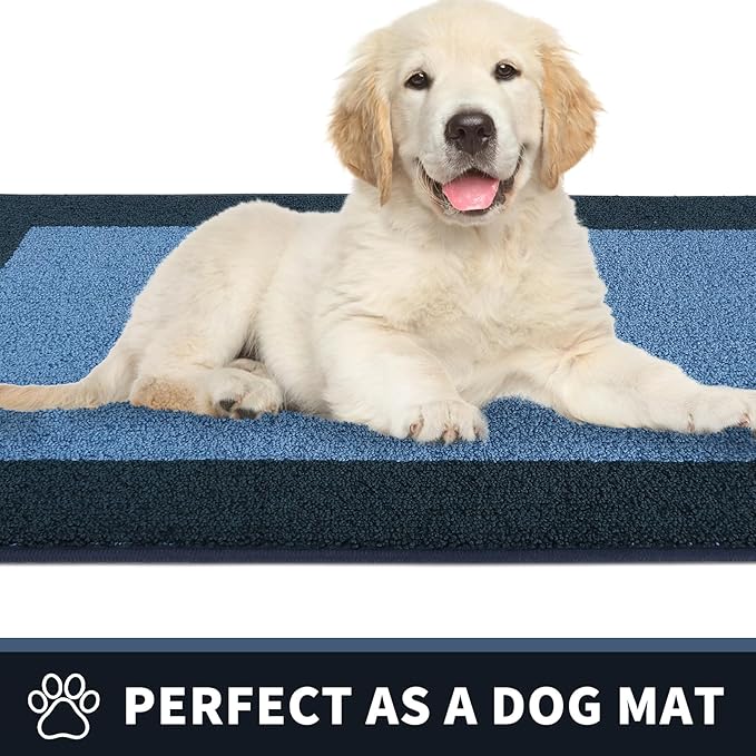 PURRUGS Dirt Trapping Door Mat 24" x 36", Non-Slip Machine Washable Entry Rug, Entrance Mat, Indoor Front Door Mat, Super Absorbent Entryway Rug for Muddy Shoes & Paws, Light Blue & Navy