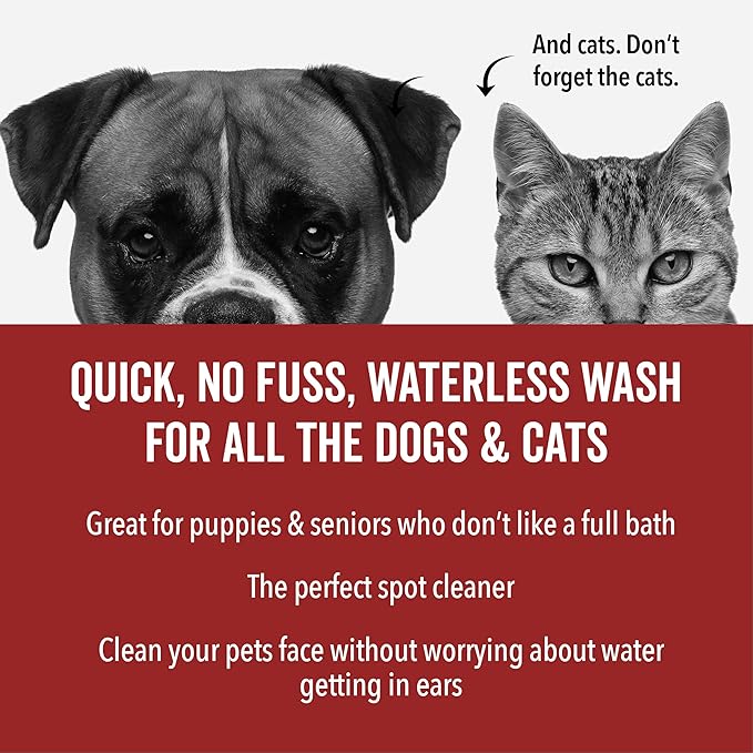 Pride and Groom DogDays No Rinse Quick Cleaning Shampoo | Waterless Foaming Dry Shampoo for Dogs & Cats | Odor-Eliminating, Hypoallergenic Pet Cleanser | 8 fl oz | Made in USA