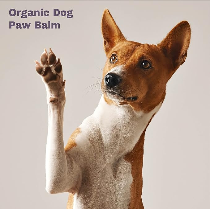 Mighty Mutt Organic Dog Paw Balm – Easy to Use, Moisturizing & Soothing Dog Pad Paw Balm | Softens Cracked & Dry Paws | Natural, Pet Friendly, Hypoallergenic Paw Balm Dogs – Unscented | 1.76 oz
