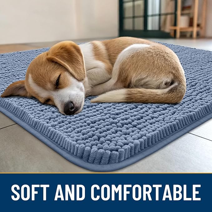 Smiry Dog Door Mat for Muddy Paws 71x46, Absorbs Moisture and Dirt Doormat, Non-Slip Washable Quick Dry Chenille Front Door Mat Indoor Entrance, Entryway Carpet for Inside Floor, Airy Blue
