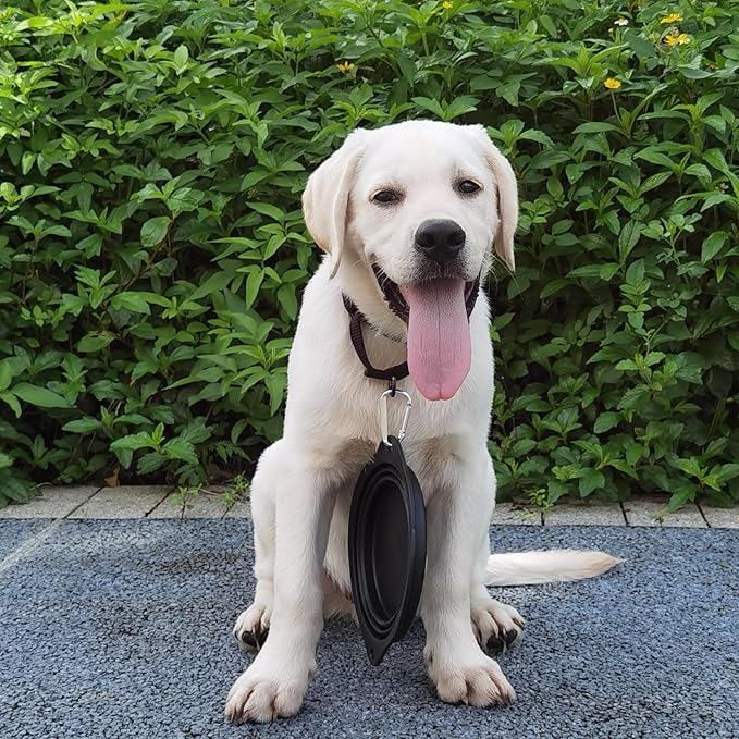 Collapsible Silicone Dog Bowl with Carabiner, 3 Sizes 5-27oz, Portable Pet Outdoor,Travel Bowl,(Black and Red)