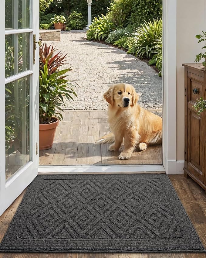DEXI Front Door Mat for Entryway, 24x36 Washable Entry Rugs with Non Slip Backing, Low Profile Absorbent Welcome Floor Doormat for Inside Home, Entrance, Dark Grey