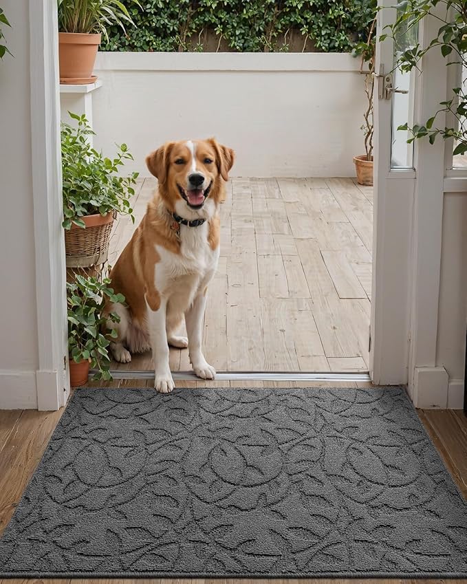 DEXI Front Door Mat Inside Entrance 24x36, Non Slip Dirt Trapper Doormat, Low Profile Thin Entry Mat, Absorbent Easy Clean Welcome Mats for Entryway, Patio, Branch Leaf Grey