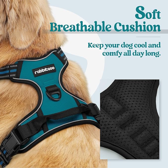 rabbitgoo Dog Harness No Pull with 2 Leash Clips, Adjustable Soft Padded, Reflective Oxford No Choke Pet Vest with Easy Control Handle for Large Dogs, Blue Coral, L