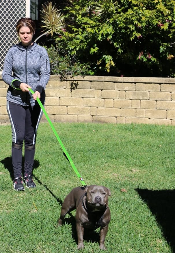 Primal Pet Gear Dog Leash 6ft Long,Traffic Padded Two Handle,Heavy Duty,Reflective Double Handles Lead for Control Safety Training,Leashes for Large Dogs or Medium Dogs,Dual Handles Leads(Green)