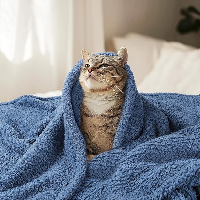 Luciphia Premium Fleece Dog Puppy Blanket Soft Pet Sherpa Calming Cat Blankets Throw for Small Medium Dog Cat(Haze Blue,41x31 inches)