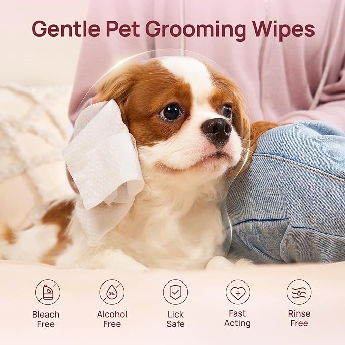 HICC PET Cleaning Deodorizing Wipes for Dogs & Cats, Vet Recommended Nourishes Smoothes Fur Grooming Wipes, Fermented Coconut Oil Grooming Body, Horse Skin, Coat & Hoof, 400 Count, Unscented