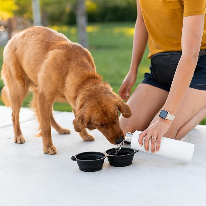 Pup Culture Dual Collapsible Dog Bowls | Silicone Travel Water Bowl for Dogs | Food Grade, No Plastic Rim, Portable Dog Bowl for Food and Water - Easy to Clean | BPA Free and Safe for Your Pup-Black