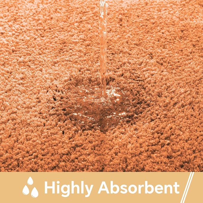 Burnt Orange Bathroom Rugs 17"x24" - High-Density Microfiber Bath Mat, Fluffy Non Slip Absorbent and Washable Bathroom Mat - Ideal for Small Spaces, Vanity, Toilet, or Pet Mat