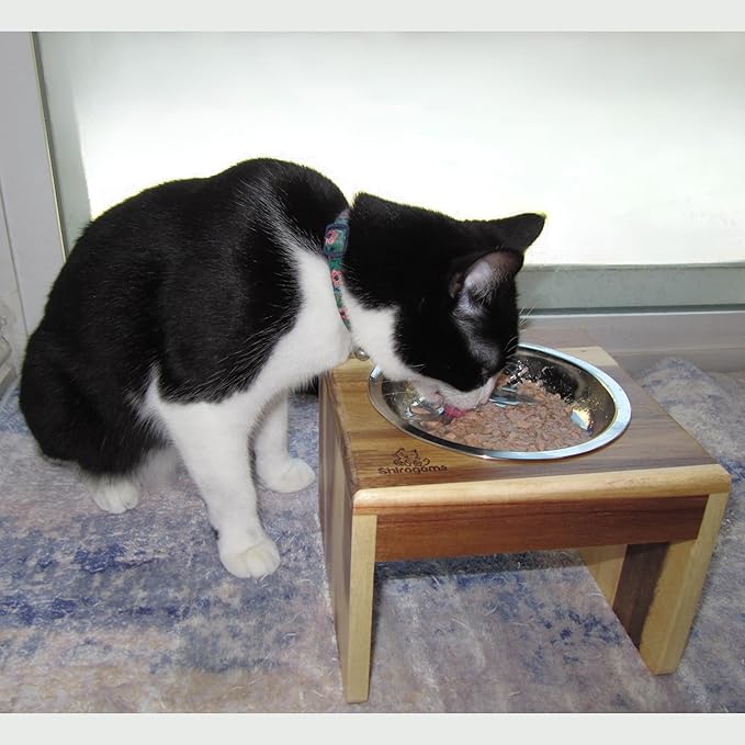 Raised Cat Bowls, 6.25 in Wide, 6" Elevated Cat Feeding Stand (with 2 Stainless Steel Bowls: 12 oz/1.5 Cup), Small Dogs, Rabbits, Anti-Vomit, Whisker Friendly, 6 x 8 x 8 in, Acacia Wood