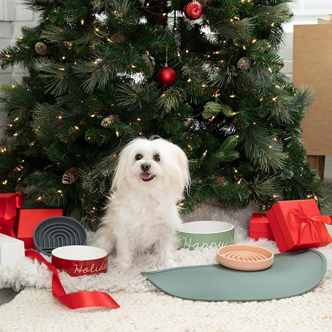 Should We Go? Waterproof Silicone Pet Food Mat - Non-Slip Spill-Proof Feeding Mats for Floors, Raised Edge Design Easy-to-Clean Rubber Mat for Dog & Cat Bowls, 28" Across x 14" Deep, Large-Terracotta