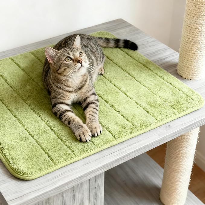 Washable Pet Bed Mat (23.6 x 15.8 Inch) – 3-Pack for Indoor/Outdoor Use, Soft Sleeping Mat for Cats, Small Pets, Kitty, Puppy, Rabbit – Cozy Bedding Pads for Pets Up to 20lbs