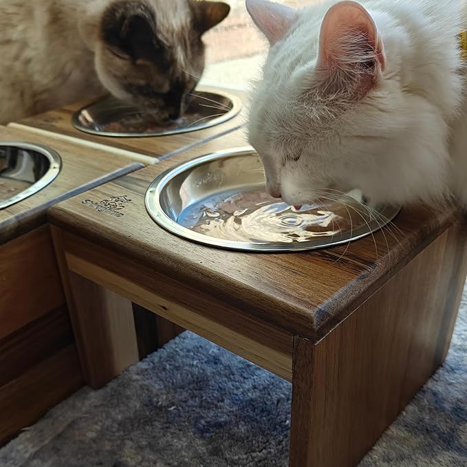 Raised Cat Bowls, 6.25 in Wide, 6" Elevated Cat Feeding Stand (with 2 Stainless Steel Bowls: 12 oz/1.5 Cup), Small Dogs, Rabbits, Anti-Vomit, Whisker Friendly, 6 x 8 x 8 in, Acacia Wood
