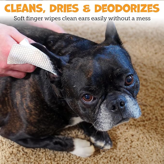 Advanced Pet Ear Finger Wipes for Dogs & Cats - Non-Irritating Pet Finger Wipes, Ear Cleaner for Dogs & Cats - Helps Reduce Wax Buildup, Debris, and Odor with Cucumber Melon Scent - 50ct