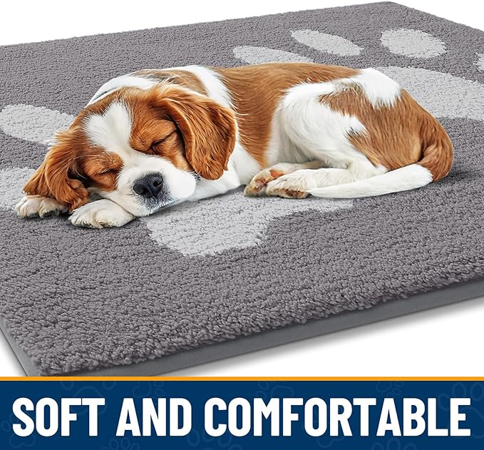 Smiry Dog Door Mat for Muddy Paws, Absorbs Moisture and Dirt, Low-Profile Entryway Mat with Non-Slip Backing, Entry Indoor Outdoor Doormat for Inside Floor (30x20 Inches, Light Grey, Paw)
