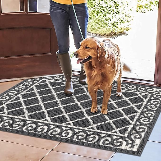 HEBE Indoor Door Mat 24''x36'' Non Slip Front Door Welcome Mats Washable Shoe Mats Dirt Trapper for Entryway Low Profile Kitchen Carpet for Entrance Hallways Entrance Mat for Dogs
