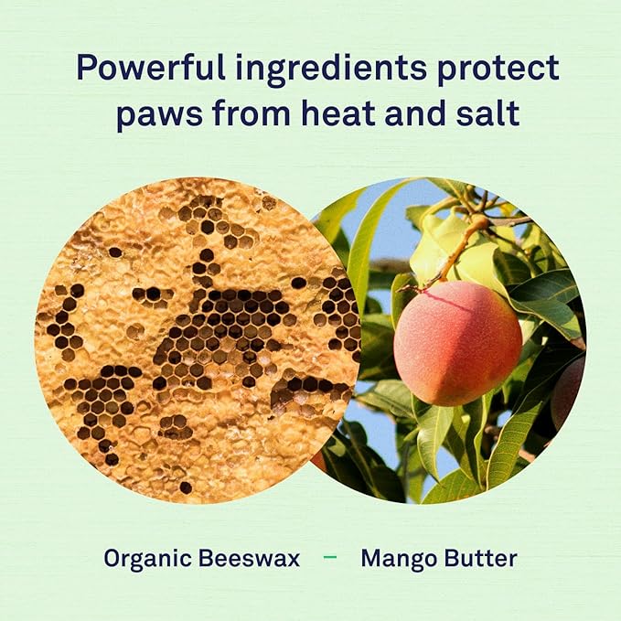 Petpost | Paw Protection for Dogs - Organic Sunflower Oil and Beeswax Balm for Hot Pavement - Wax Coats Dog Feet to Prevent Burns from Heat & Cold 0.64 oz.