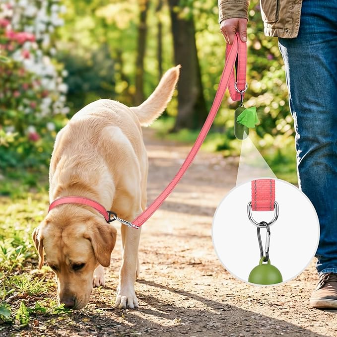 Joytale Dog Leash, 6 FT Double-Sided Reflective, Padded Handle Nylon Heavy Duty Leashes for Medium & Large Dogs Walking, Neon Pink