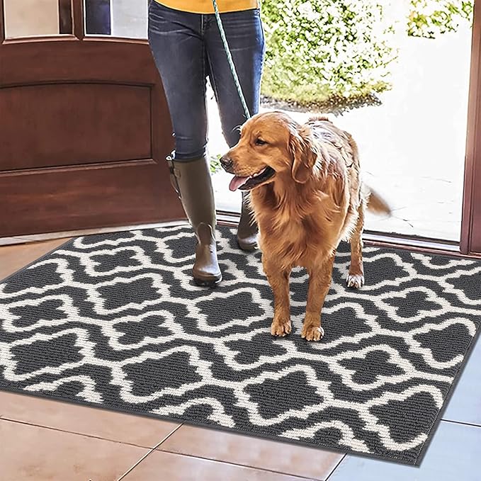 HEBE Indoor Door Mat 24''x36'' Non Slip Front Door Welcome Mats Washable Shoe Mats Dirt Trapper for Entryway Low Profile Kitchen Carpet for Entrance Hallways Entrance Mat for Dogs