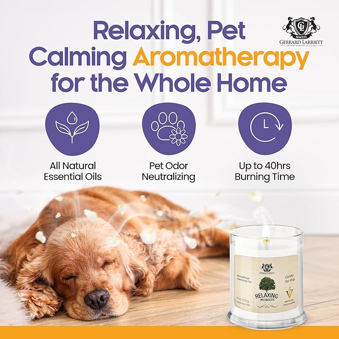 Pet Odor Eliminator Candle Relaxing Wildwoods Scented Candle, Calming Candles Aromatherapy for Home Decor, Soy Wax Pet Candles Odor Eliminator for Animal Lover, Aromatherapy by Gerrard Larriett