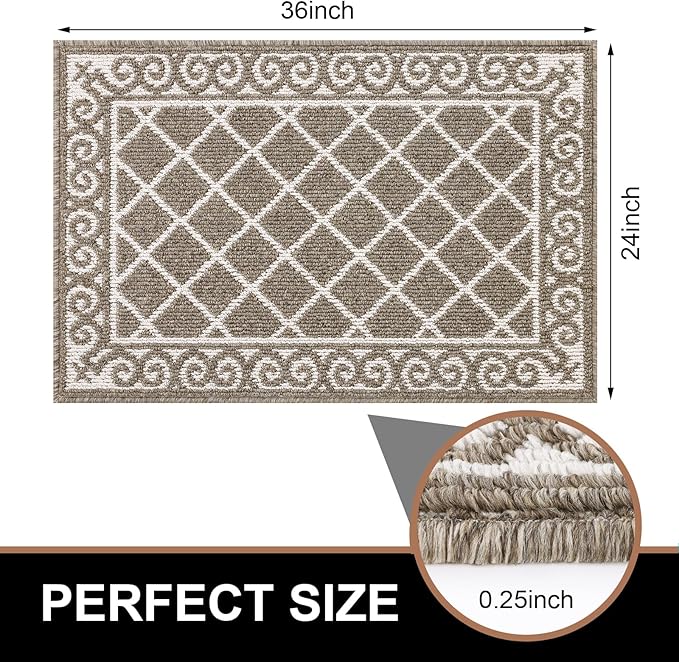 HEBE Indoor Door Mat 24''x36'' Non Slip Front Door Welcome Mats Washable Shoe Mats Dirt Trapper for Entryway Low Profile Kitchen Carpet for Entrance Hallways Entrance Mat for Dogs