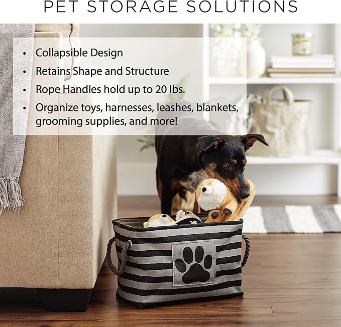 Bone Dry Pet Storage Collection Paw and Bone Print, Medium Rectangle, 16x10x12, Gray