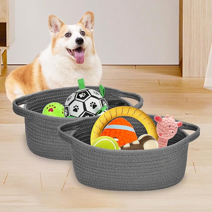 ABenkle Small Woven Storage Basket with Handles - 12"x8"x5", Decorative Rope Bin for Home Organization, Cat & Dog Toys, Shelf Storage, Gift Basket - Deep Grey