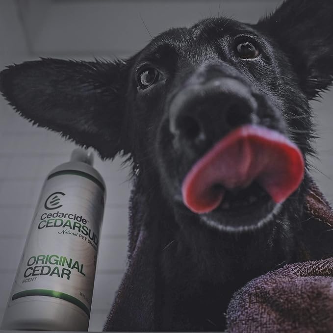 Cedarcide Cedarsuds Original Cedar Pet Shampoo (Quart) | Non-Toxic and Eco-Friendly | Cleans, and Moisturizes | Soft, Hydrating Coat for Pets | Removes Mats and Tangles