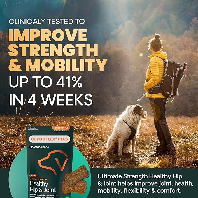 VetriScience Ultimate Strength Hip & Joint Supplement for Dogs, GlycoFlex Plus – MSM, Chondroitin & Green-Lipped Mussel Chews for Mobility, Flexibility, Comfort & Support, Duck Flavor, 120 Cnt