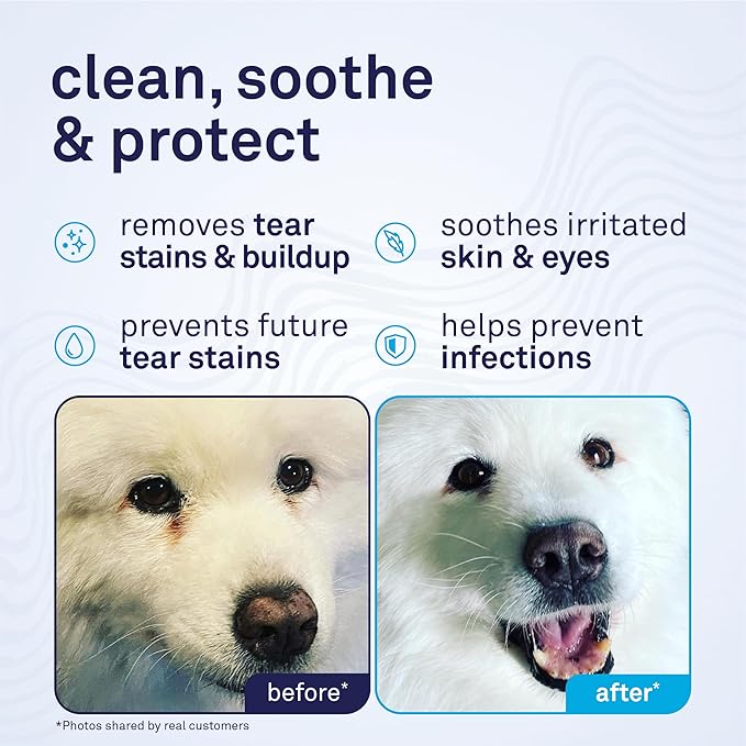 Petpost Tear Stain Remover for Dogs | 8 oz Gentle Dog Eye Cleaner Solution | Safe Dog Tear Stain Remover for White Fur & Light-Coated Breeds | Bleach Free