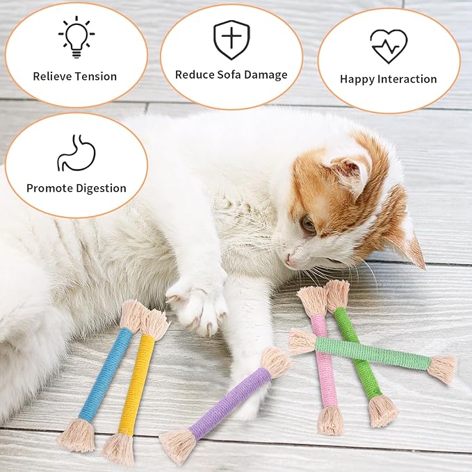 Retro Shaw 6Pcs Kitten Toys Chew Rope, Safe Teeth Cleaning Cat Toys for Indoor Kittens, Soft Cotton Interactive Refillable Catnip Toy for Cats Nip Kicker 6.1 Inches