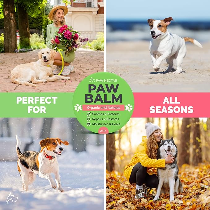 Natural Lick Safe Dog Paw Balm - 100% Organic Dog Paw Pad Balm Protector, Moisturizer & Soother for Dry Cracked Paws, Hot Pavement, Winter - Heals, Repairs & Restores - Coconut Oil, Shea Butter (2oz)